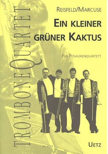 Mein kleiner grüner Kaktus für