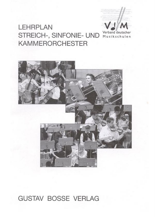 Lehrplan Streich-, Sinfonie-