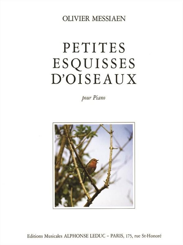 Petites esquisses d'oiseaux