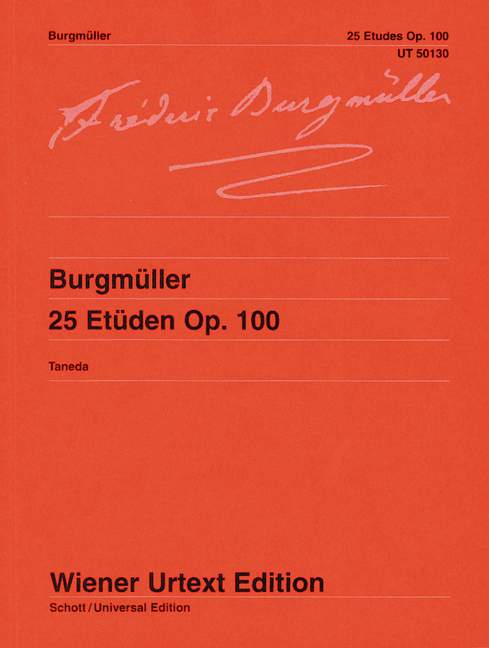 25 Etüden op.100