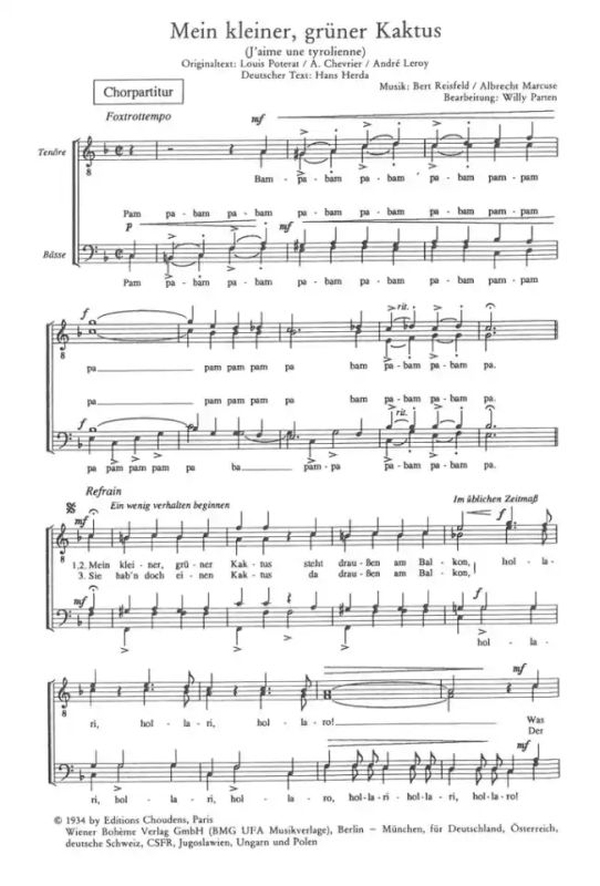 Mein kleiner grüner Kaktus