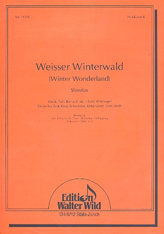 Weißer Winterwald für Akkordeon-