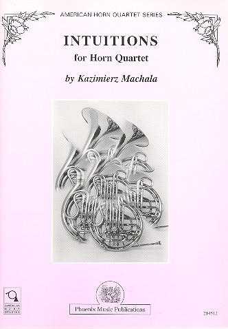 Intuitions for horn quartet