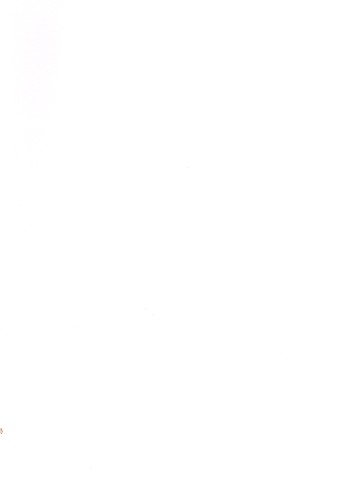 Hodie Christus natus est op.25a