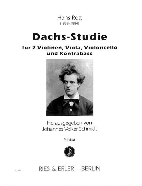 Dachs- Studie