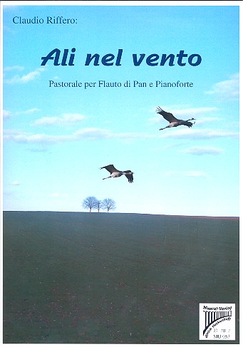 Ali nel vento 