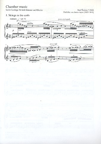 Chamber Music für Gesang (tief) und Klavier