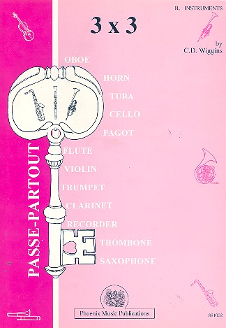 Passe-Partout 3 x 3 for flexible instruments