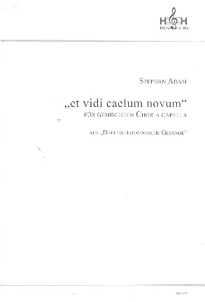 Et Vidi Caelum Novum