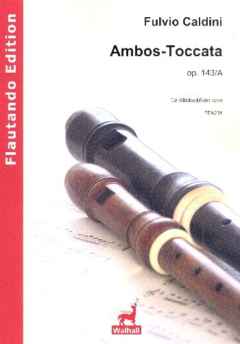 Ambos-Toccata op.143a