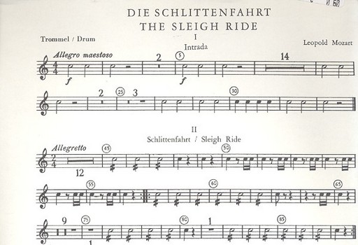 Die Schlittenfahrt