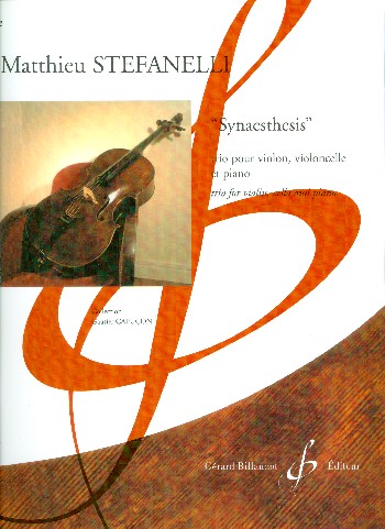 Synaesthesis