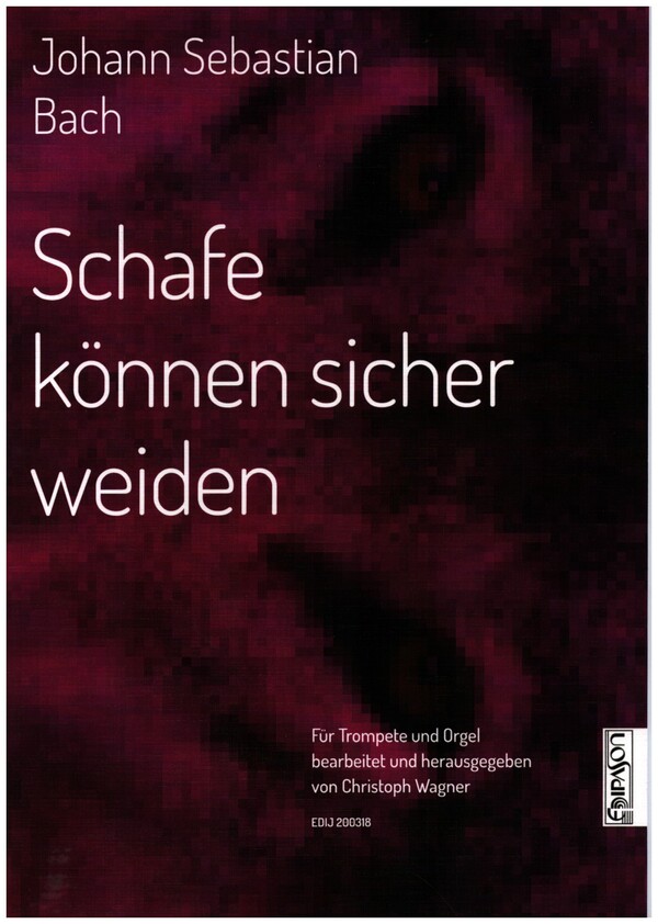 Schafe können sicher weiden