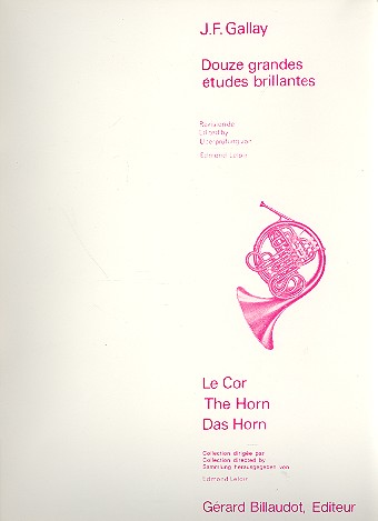 12 GRANDES ETUDES BRILLANTES