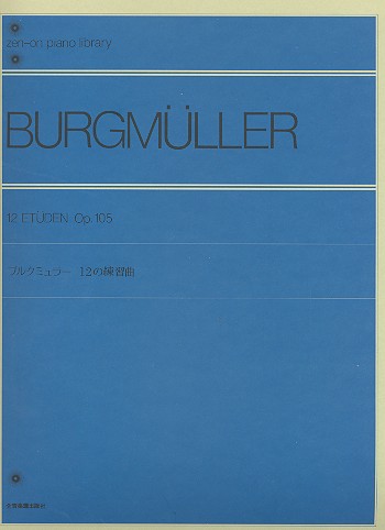 12 Etüden op.105