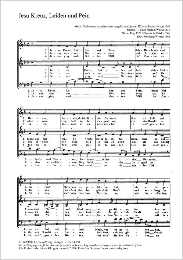 Jesu Kreuz, Leiden und Pein