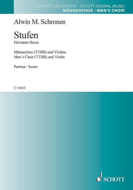 C57653 Stufen