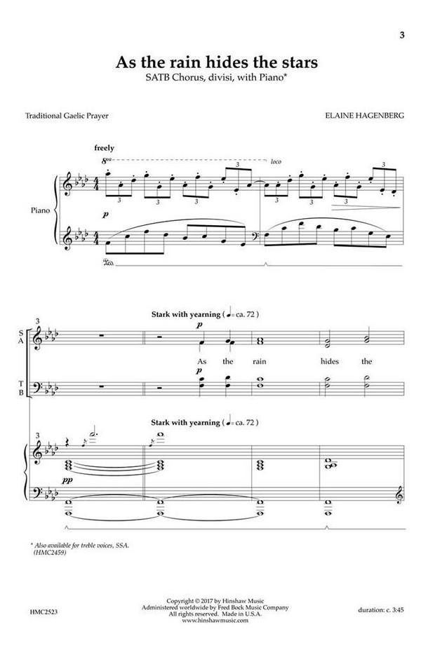 Elaine Hagenberg, As the Rain Hides the Stars