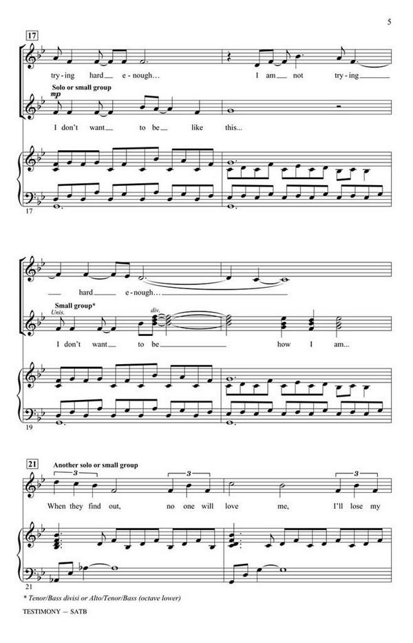 Stephen Schwartz, Testimony