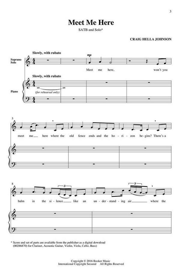 Craig Hella Johnson, Meet Me Here